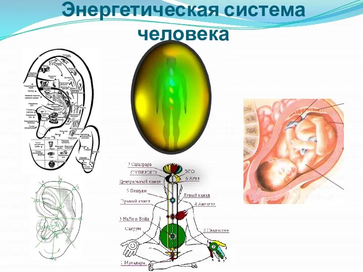 Энергетическая система человека