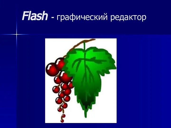Flash - графический редактор