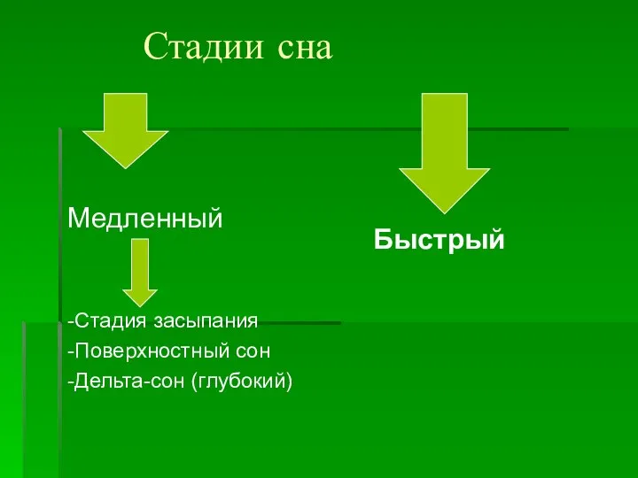 Стадии сна Медленный -Стадия засыпания -Поверхностный сон -Дельта-сон (глубокий) Быстрый