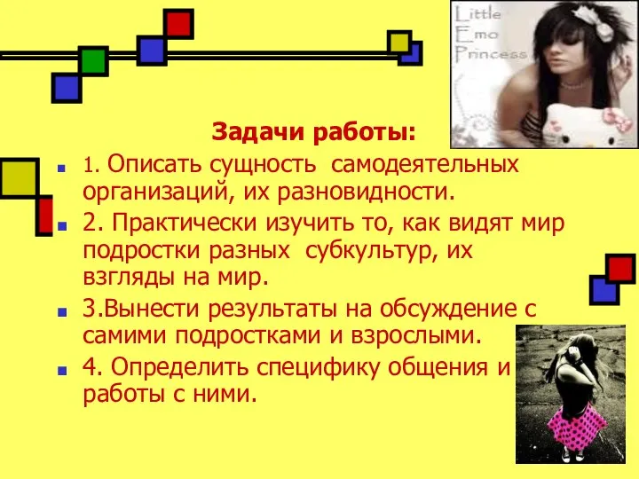 Задачи работы: 1. Описать сущность самодеятельных организаций, их разновидности. 2. Практически