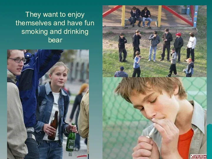 They want to enjoy themselves and have fun smoking and drinking bear