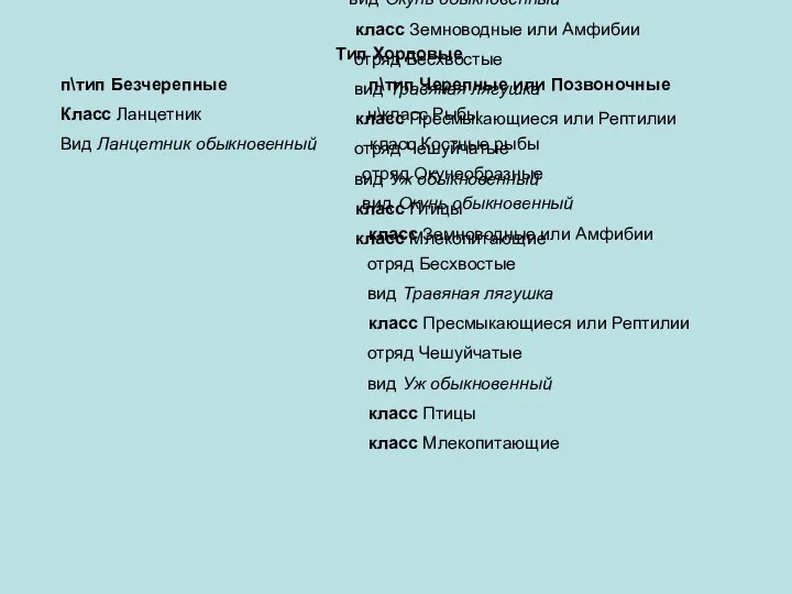 Тип Хордовые п\тип Безчерепные п\тип Черепные или Позвоночные Класс Ланцетник н\класс