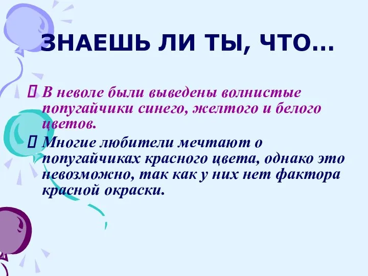 ЗНАЕШЬ ЛИ ТЫ, ЧТО… В неволе были выведены волнистые попугайчики синего,