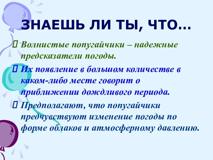 ЗНАЕШЬ ЛИ ТЫ, ЧТО… Волнистые попугайчики – надежные предсказатели погоды. Их