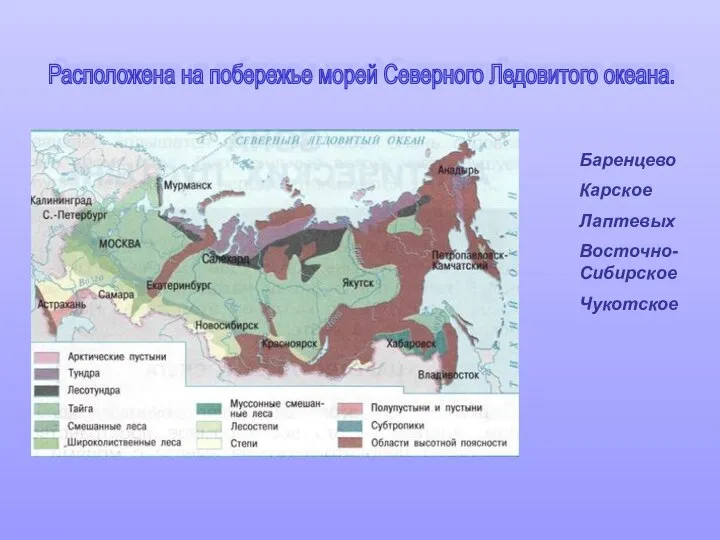 Расположена на побережье морей Северного Ледовитого океана. Баренцево Карское Лаптевых Восточно-Сибирское Чукотское