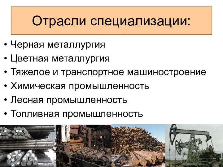 Отрасли специализации: Черная металлургия Цветная металлургия Тяжелое и транспортное машиностроение Химическая промышленность Лесная промышленность Топливная промышленность