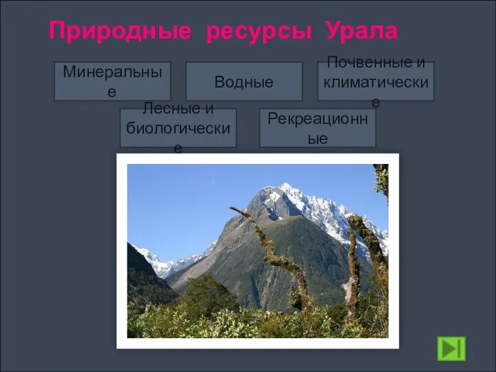 Природные ресурсы Урала Минеральные Водные Лесные и биологические Почвенные и климатические Рекреационные