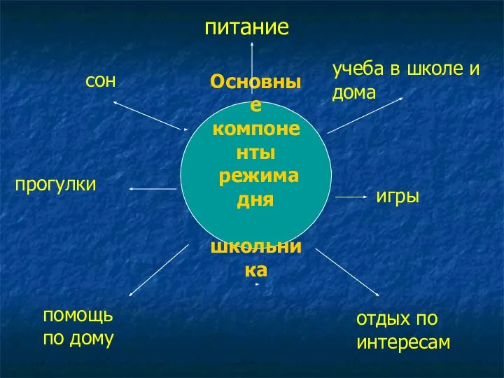 Основные компоненты режима дня школьника сон прогулки учеба в школе и