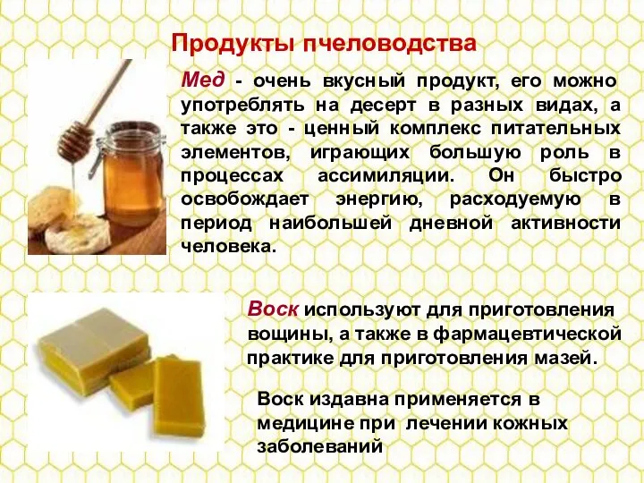 Продукты пчеловодства Мед - очень вкусный продукт, его можно употреблять на