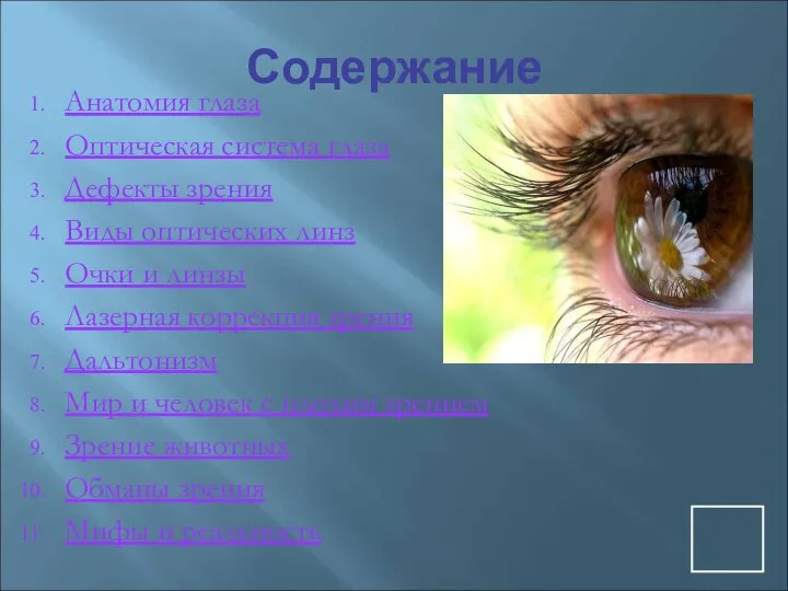 Содержание Анатомия глаза Оптическая система глаза Дефекты зрения Виды оптических линз