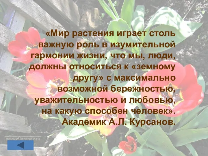 «Мир растения играет столь важную роль в изумительной гармонии жизни, что