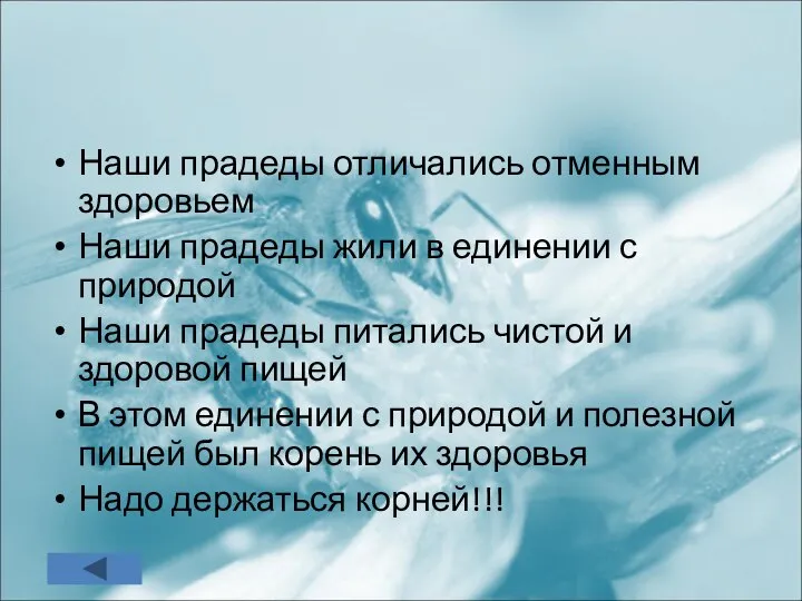 Наши прадеды отличались отменным здоровьем Наши прадеды жили в единении с