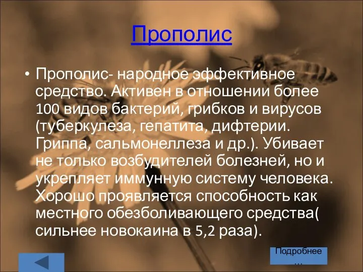 Прополис Прополис- народное эффективное средство. Активен в отношении более 100 видов