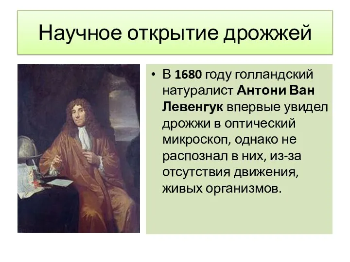 Научное открытие дрожжей В 1680 году голландский натуралист Антони Ван Левенгук