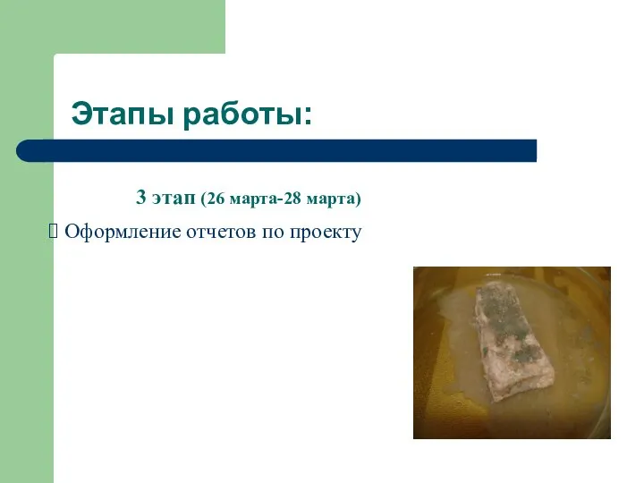 Этапы работы: 3 этап (26 марта-28 марта) Оформление отчетов по проекту