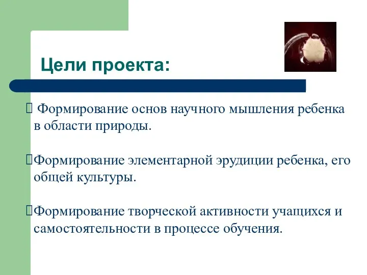 Цели проекта: Формирование основ научного мышления ребенка в области природы. Формирование