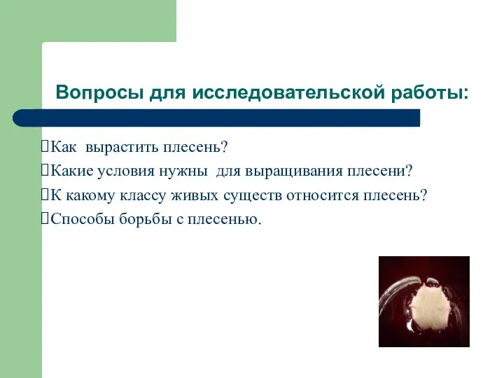 Вопросы для исследовательской работы: Как вырастить плесень? Какие условия нужны для