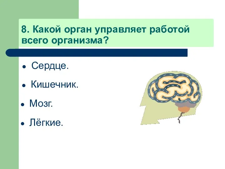 8. Какой орган управляет работой всего организма? Сердце. Кишечник. Мозг. Лёгкие.