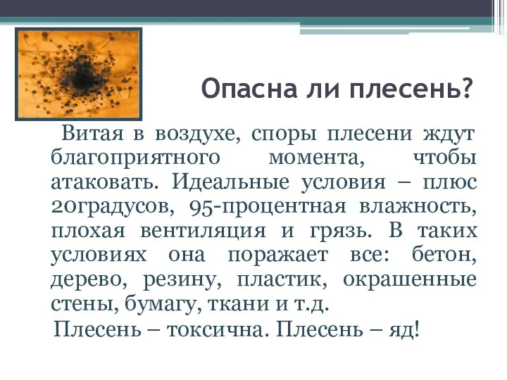 Опасна ли плесень? Витая в воздухе, споры плесени ждут благоприятного момента,