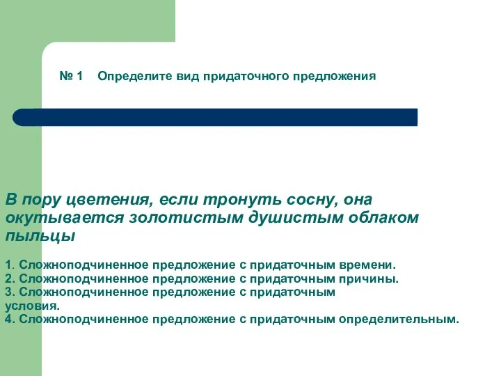 В пору цветения, если тронуть сосну, она окутывается золотистым душистым облаком