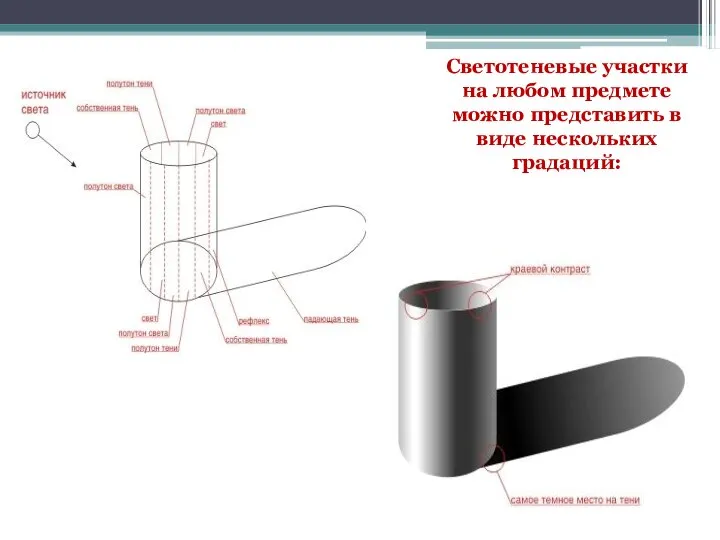 Светотеневые участки на любом предмете можно представить в виде нескольких градаций: