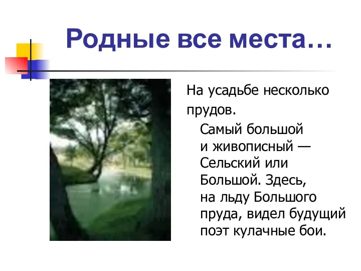 Родные все места… На усадьбе несколько прудов. Самый большой и живописный