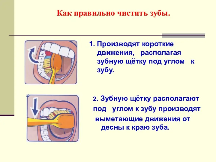 Как правильно чистить зубы. 1. Производят короткие движения, располагая зубную щётку