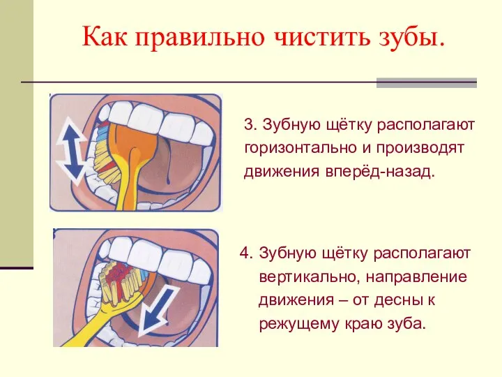 Как правильно чистить зубы. 3. Зубную щётку располагают горизонтально и производят