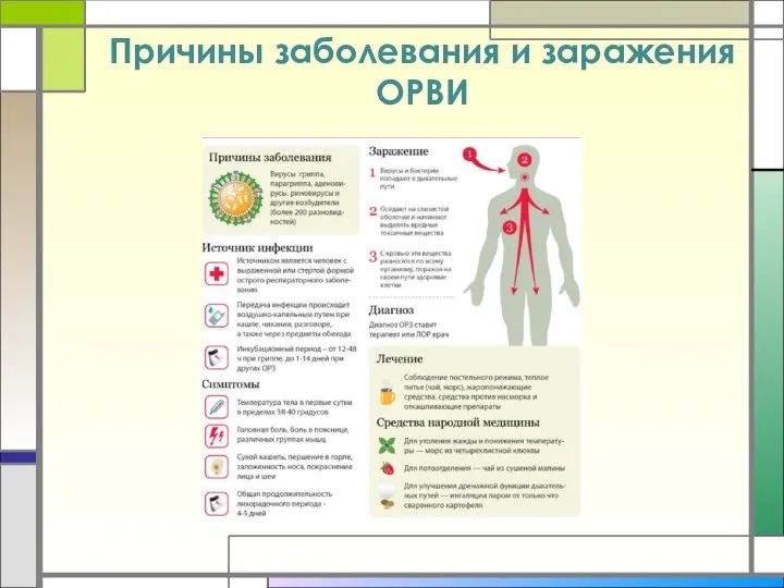 Причины заболевания и заражения ОРВИ