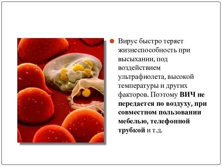 Вирус быстро теряет жизнеспособность при высыхании, под воздействием ультрафиолета, высокой температуры