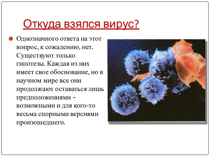 Откуда взялся вирус? Однозначного ответа на этот вопрос, к сожалению, нет.