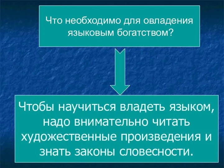 Чтобы научиться владеть языком, надо внимательно читать художественные произведения и знать