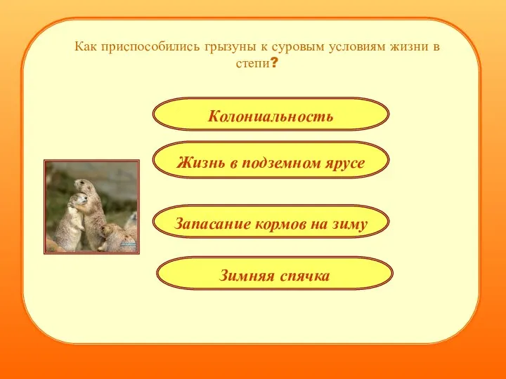 Как приспособились грызуны к суровым условиям жизни в степи? Жизнь в