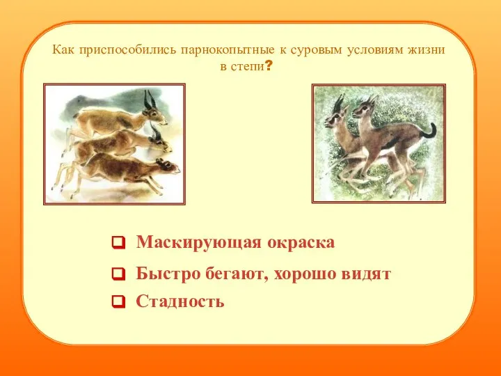 Как приспособились парнокопытные к суровым условиям жизни в степи? Стадность Маскирующая окраска Быстро бегают, хорошо видят