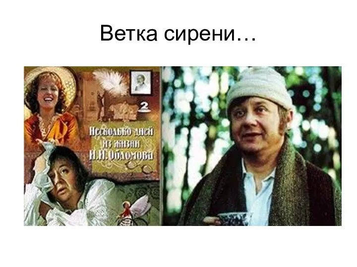 Ветка сирени…