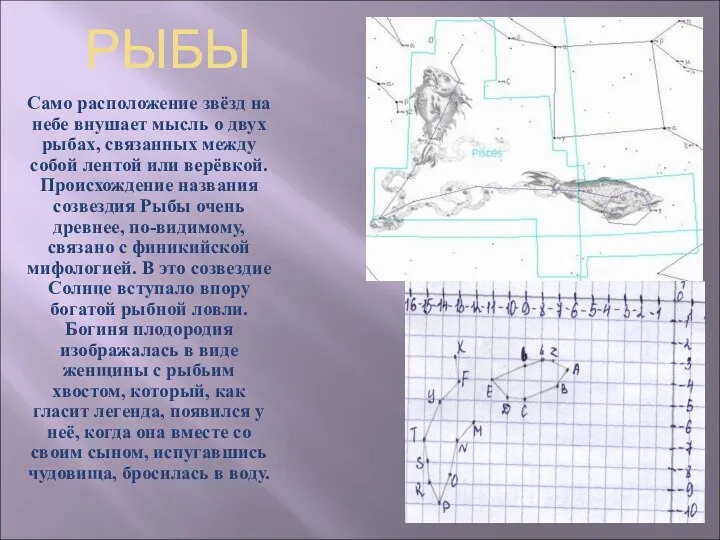 РЫБЫ Само расположение звёзд на небе внушает мысль о двух рыбах,