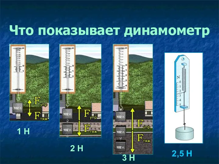 Что показывает динамометр 1 Н 2 Н 3 Н 2,5 Н