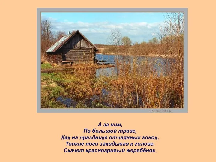 А за ним, По большой траве, Как на празднике отчаянных гонок,