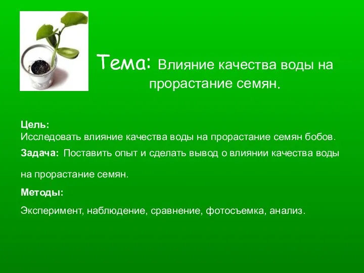 Тема: Влияние качества воды на прорастание семян. Цель: Исследовать влияние качества