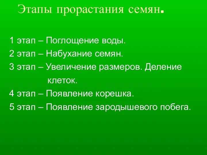 Этапы прорастания семян. 1 этап – Поглощение воды. 2 этап –