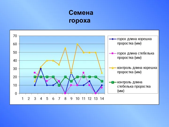 Семена гороха