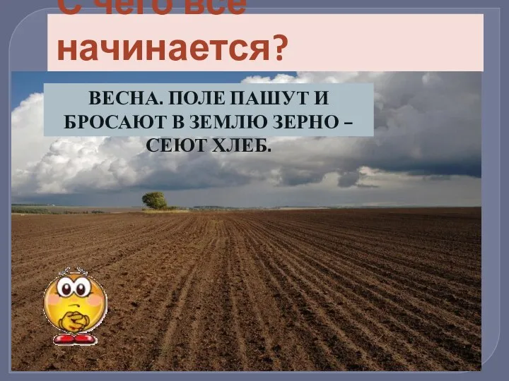 С чего всё начинается? ВЕСНА. ПОЛЕ ПАШУТ И БРОСАЮТ В ЗЕМЛЮ ЗЕРНО – СЕЮТ ХЛЕБ.