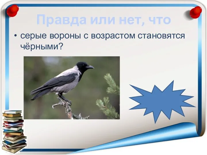 Правда или нет, что серые вороны с возрастом становятся чёрными? неправда