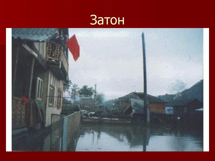 Затон