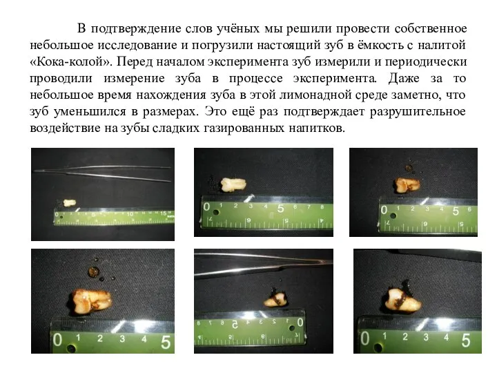 В подтверждение слов учёных мы решили провести собственное небольшое исследование и