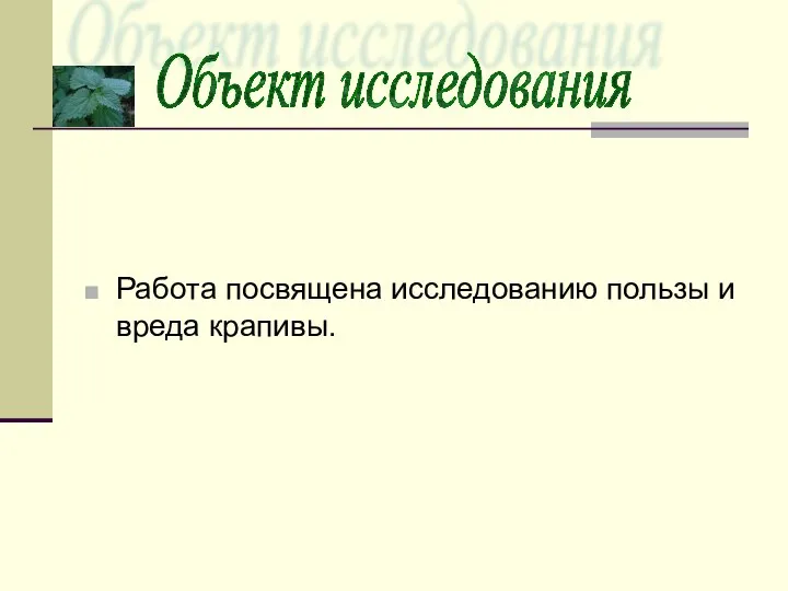 Работа посвящена исследованию пользы и вреда крапивы. Объект исследования