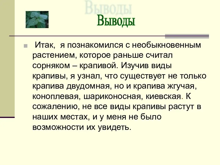 Итак, я познакомился с необыкновенным растением, которое раньше считал сорняком –