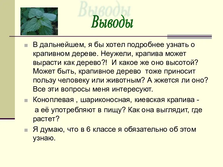 В дальнейшем, я бы хотел подробнее узнать о крапивном дереве. Неужели,