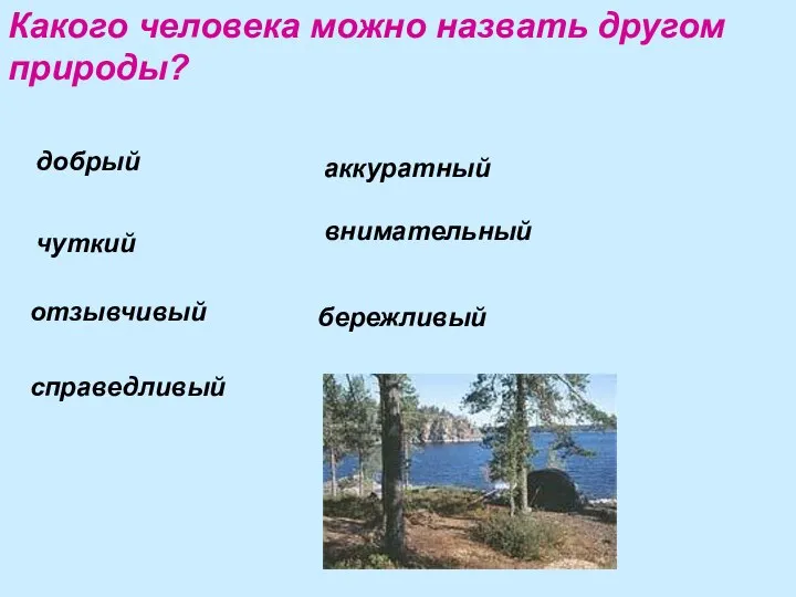 Какого человека можно назвать другом природы? добрый чуткий отзывчивый справедливый аккуратный внимательный бережливый