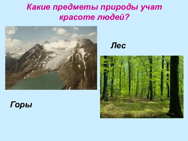 Какие предметы природы учат красоте людей? Горы Лес